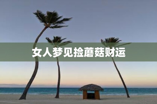 女人梦见捡蘑菇财运