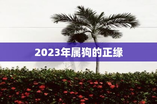 2025年属狗的正缘
