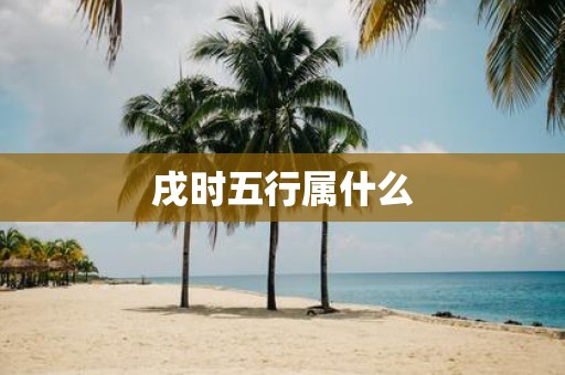 戌时五行属什么