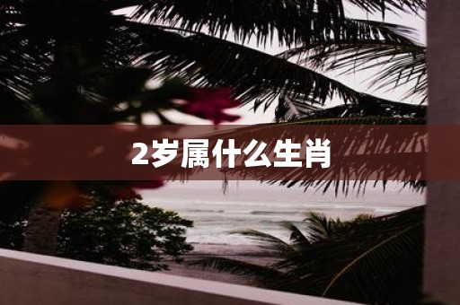 2岁属什么生肖