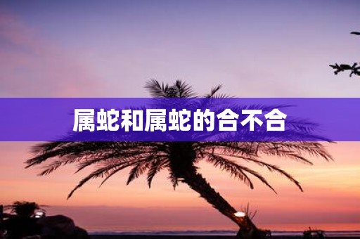 属蛇和属蛇的合不合