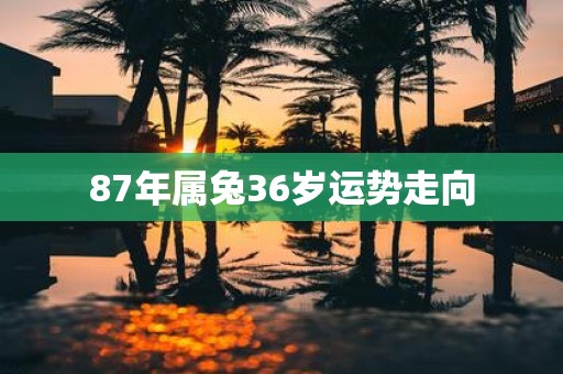 87年属兔36岁运势走向