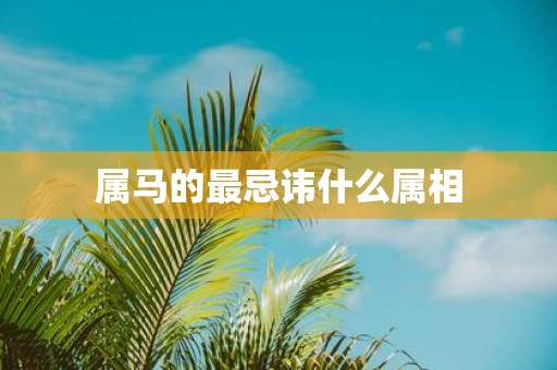 属马的最忌讳什么属相