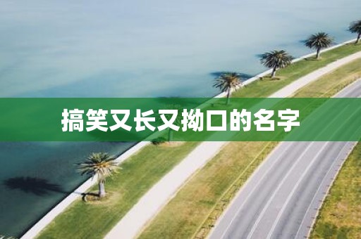搞笑又长又拗口的名字