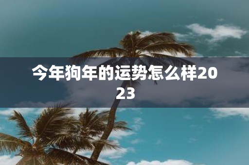 今年狗年的运势怎么样2025