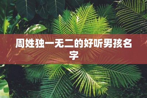 周姓独一无二的好听男孩名字