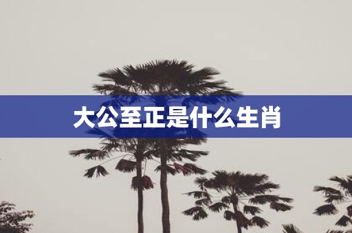 大公至正是什么生肖