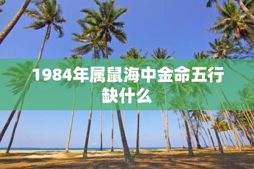 1984年属鼠海中金命五行缺什么