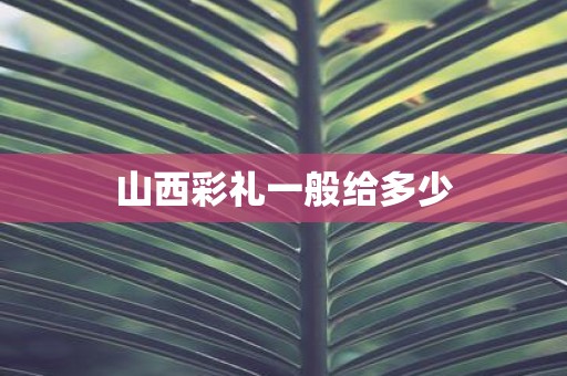 山西彩礼一般给多少