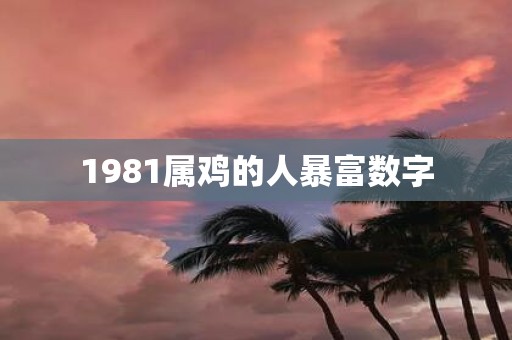 1981属鸡的人暴富数字