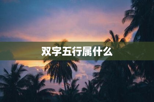 双字五行属什么
