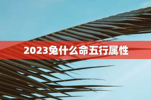 2025兔什么命五行属性