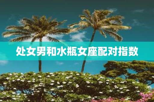 处女男和水瓶女座配对指数