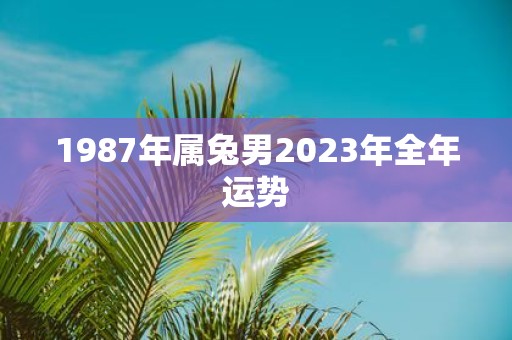 1987年属兔男2025年全年运势