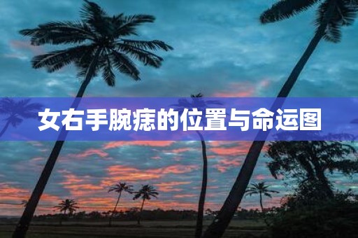 女右手腕痣的位置与命运图