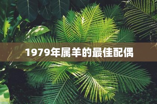 1979年属羊的最佳配偶