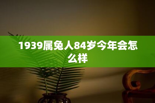 1939属兔人84岁今年会怎么样