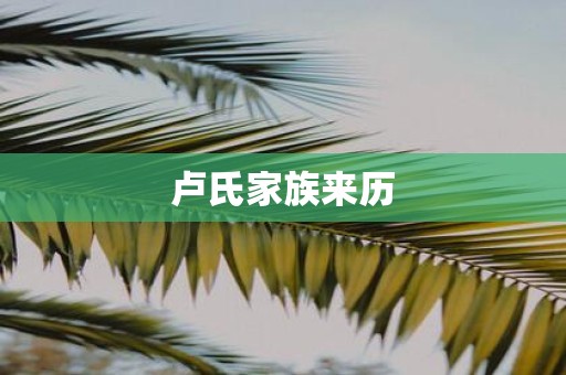 卢氏家族来历
