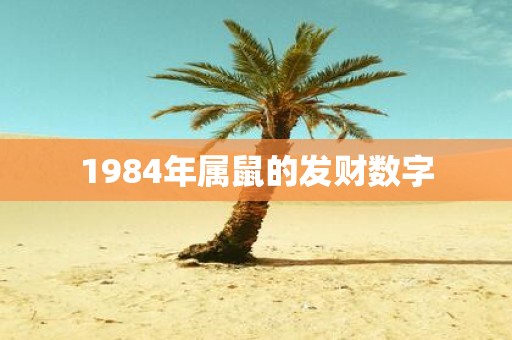 1984年属鼠的发财数字