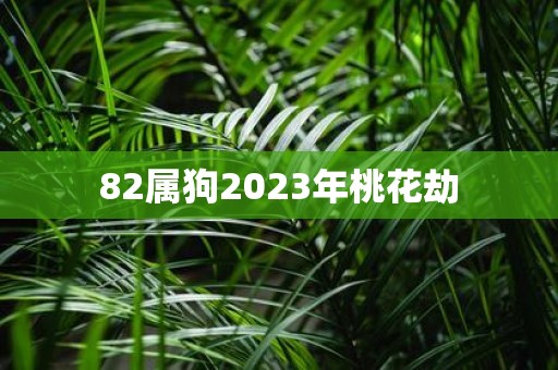 82属狗2025年桃花劫