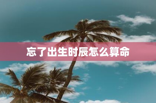 忘了出生时辰怎么算命