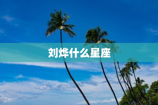 刘烨什么星座