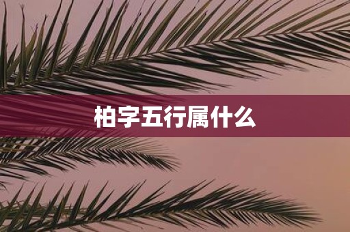 柏字五行属什么