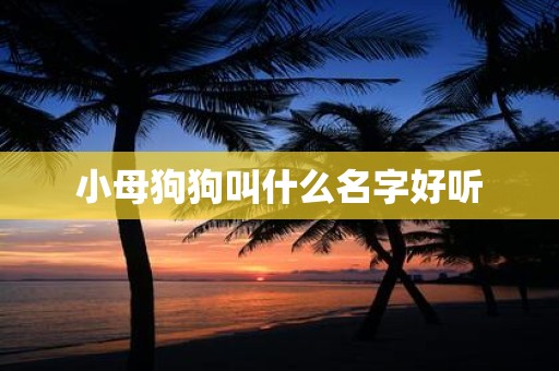 小母狗狗叫什么名字好听