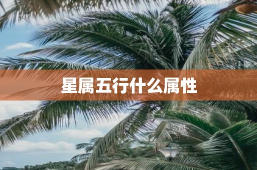星属五行什么属性
