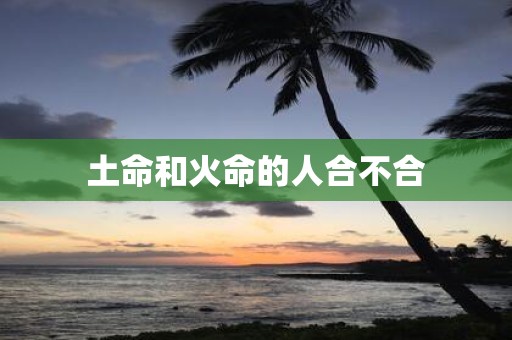 土命和火命的人合不合