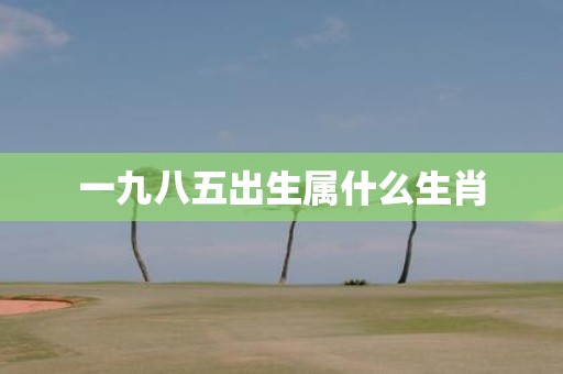 一九八五出生属什么生肖