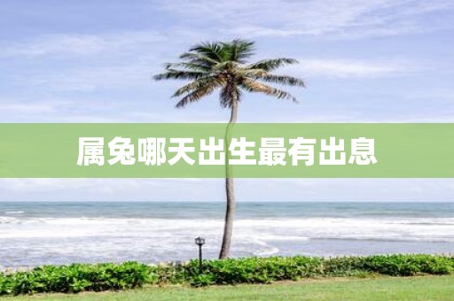属兔哪天出生最有出息