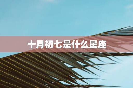 十月初七是什么星座