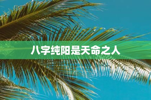 八字纯阳是天命之人
