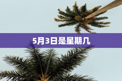 5月3日是星期几