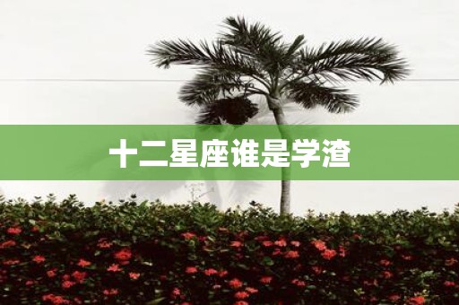 十二星座谁是学渣