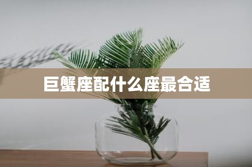 巨蟹座配什么座最合适