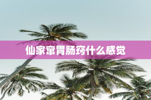 仙家窜胃肠窍什么感觉