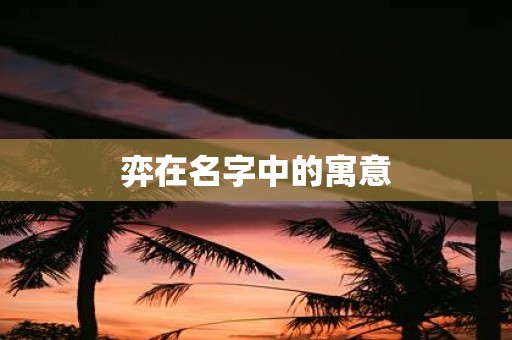 弈在名字中的寓意