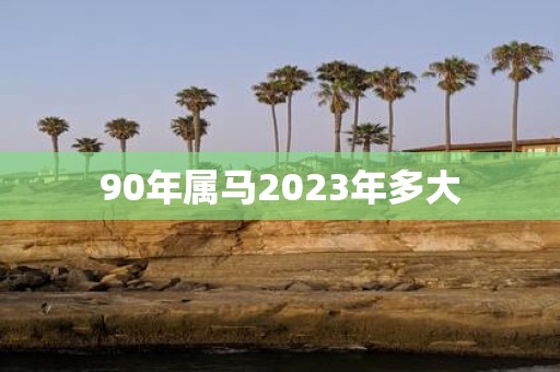 90年属马2025年多大