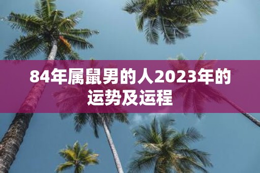 84年属鼠男的人2025年的运势及运程