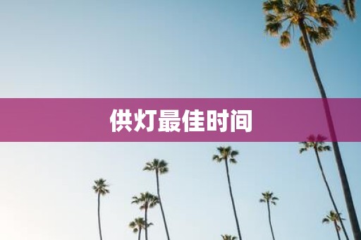 供灯最佳时间