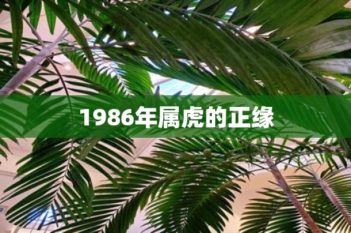 1986年属虎的正缘