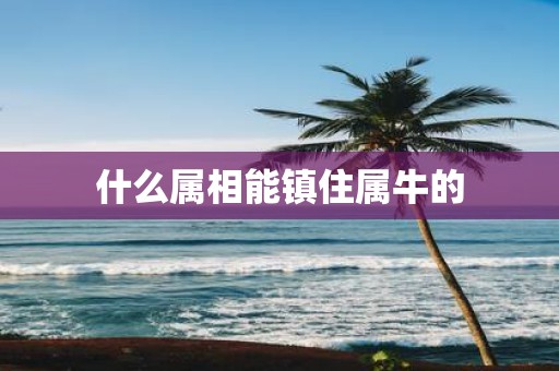 什么属相能镇住属牛的