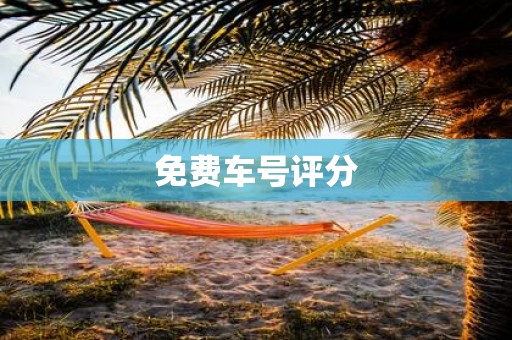 免费车号评分