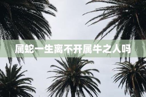 属蛇一生离不开属牛之人吗