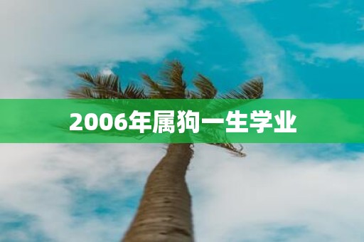 2006年属狗一生学业