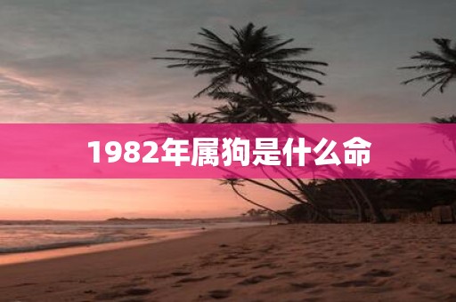 1982年属狗是什么命