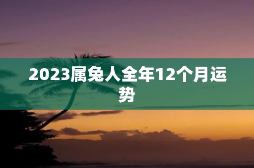 2023属兔人全年12个月运势