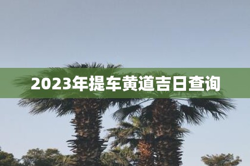 2025年提车黄道吉日查询